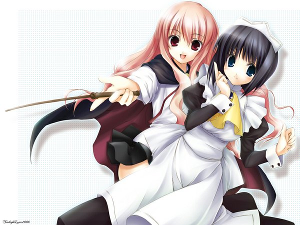 Anime picture 1024x768 with zero no tsukaima j.c. staff louise francoise le blanc de la valliere siesta maid