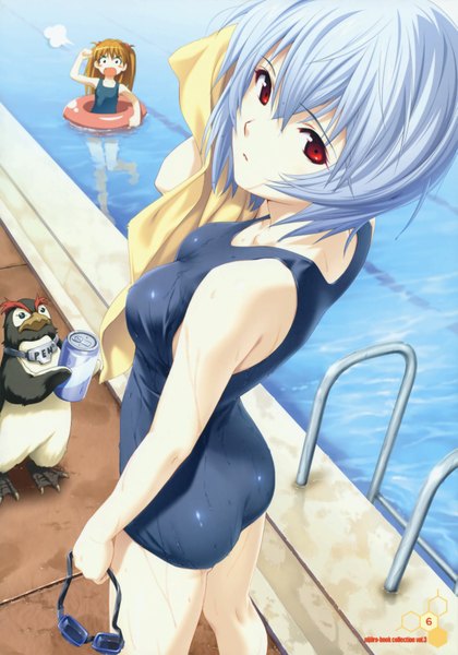 Anime picture 2453x3500 with neon genesis evangelion gainax soryu asuka langley ayanami rei penpen tagme (artist) tall image highres short hair red eyes multiple girls blue hair orange hair girl 2 girls swimsuit one-piece swimsuit school swimsuit