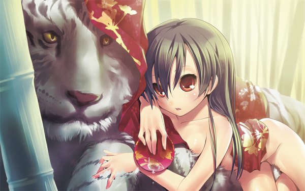 Anime picture 1000x625 with original nilitsu long hair light erotic black hair red eyes wide image girl plant (plants) animal open kimono bamboo tiger