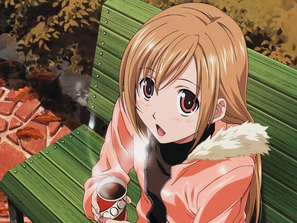 Anime picture 1600x1200 with minami-ke minami haruka long hair blush open mouth blonde hair sitting brown eyes girl plant (plants) hood drink bench tiles hands coffee