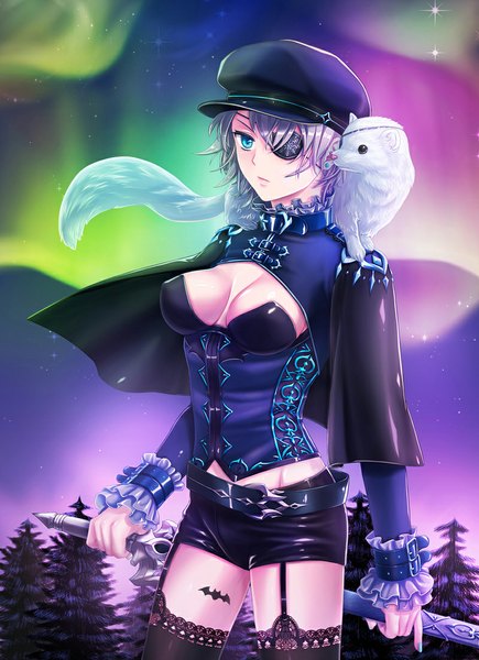 Anime picture 800x1102 with sword girls iri flina single tall image short hair breasts blue eyes light erotic silver hair aurora borealis girl thighhighs weapon black thighhighs plant (plants) animal sword tree (trees) shorts frills