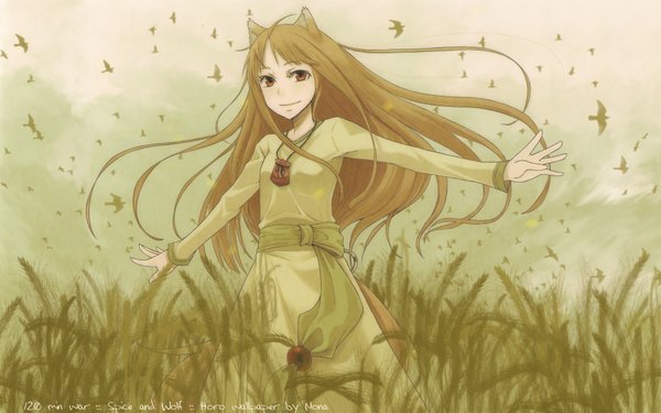 Anime picture 1920x1200 with spice and wolf horo nona (artist) single long hair highres brown hair wide image animal ears light smile spread arms wolf ears wolf tail wolf girl girl animal bird (birds)
