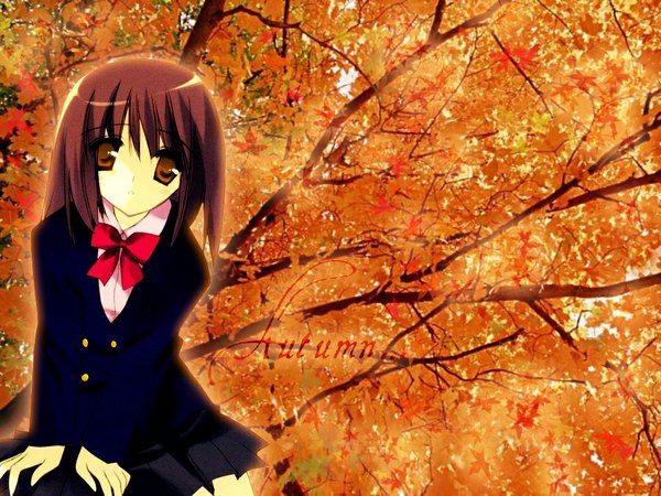 Anime picture 1024x768 with looking at viewer short hair brown hair brown eyes inscription wallpaper autumn girl uniform plant (plants) school uniform tree (trees) autumn leaves