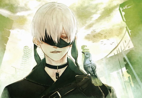 Anime picture 1000x692 with nier nier:automata yorha no. 9 type s saito yukihiro single fringe short hair hair between eyes looking away sky upper body white hair parted lips city blindfold white eyes bird on hand boy gloves animal