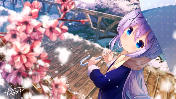 Anime picture 4000x2250 with gochuumon wa usagi desu ka? white fox kafuu chino chinomaron single long hair looking at viewer blush fringe highres blue eyes hair between eyes wide image holding signed absurdres silver hair :o depth of field fur trim