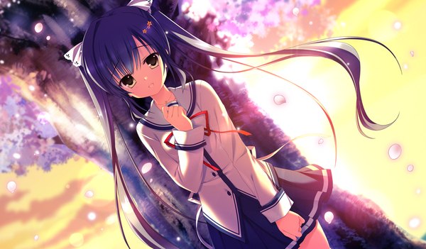 Anime picture 1024x600 with da capo iii rukawa sara takano yuki (allegro mistic) single long hair looking at viewer blush open mouth wide image twintails brown eyes blue hair game cg cherry blossoms girl uniform plant (plants) school uniform petals tree (trees)