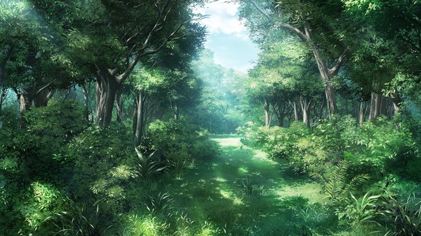 Anime picture 1280x720 with grisaia no kajitsu wide image game cg sunlight landscape nature plant (plants) tree (trees) grass forest