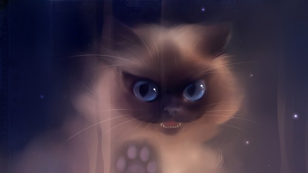 Anime picture 1920x1080 with original apofiss single highres blue eyes wide image animal cat