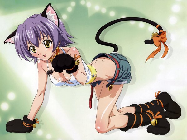 Anime picture 1600x1200 with mahou sensei negima! izumi ako light erotic animal ears cat girl girl