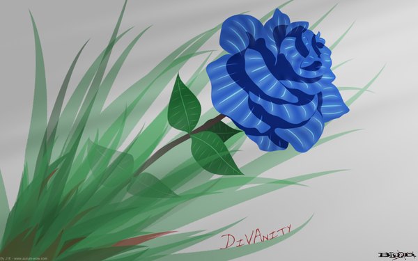 Anime picture 1680x1050 with blood+ production i.g wide image inscription flower (flowers) rose (roses) leaf (leaves) blue rose