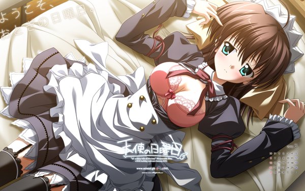 Anime picture 1920x1200 with ef a fairy tale of the two miyamura miyako highres light erotic brown hair wide image green eyes maid
