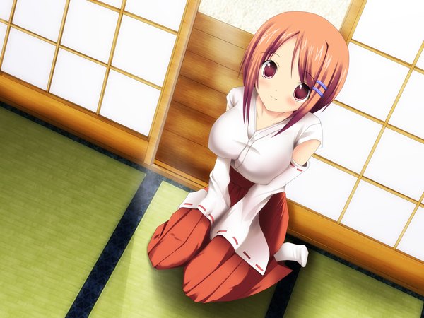Anime picture 2400x1800 with paradaisukingu single blush highres short hair red eyes brown hair miko girl detached sleeves