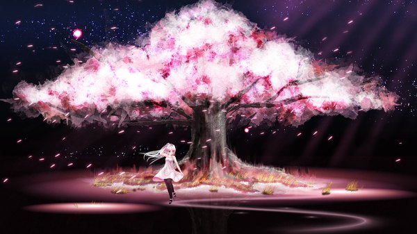 Anime picture 1920x1080 with original henet hene single long hair highres blue eyes smile wide image pink hair ponytail night cherry blossoms scenic girl dress plant (plants) petals pantyhose tree (trees) star (stars)