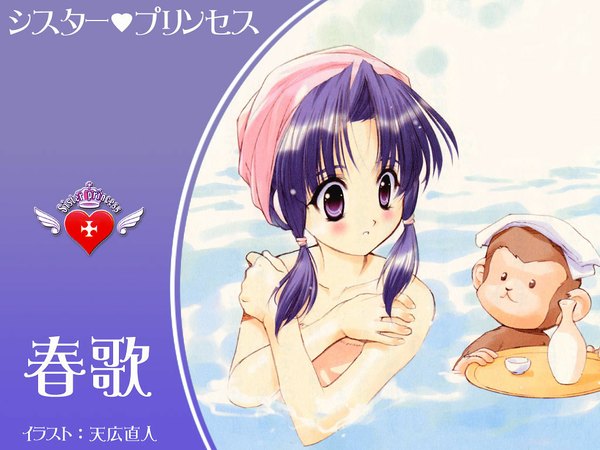 Anime picture 1024x768 with sister princess zexcs haruka (sister princess) tenhiro naoto blush light erotic purple eyes payot purple hair wallpaper flat chest alternate hairstyle covering hair up water towel alcohol onsen sake tokkuri