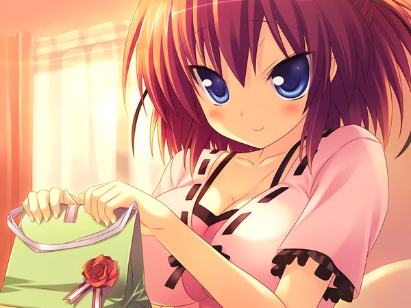 Anime picture 1200x900 with zettai junshu kozukuri kyokashou paradise!! single looking at viewer blush short hair blue eyes smile game cg red hair girl dress bag