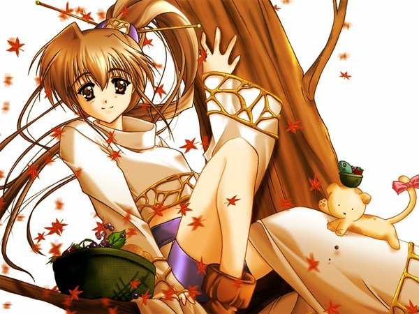 Anime picture 1024x768 with long hair looking at viewer smile brown hair sitting brown eyes ponytail wallpaper autumn girl hair ornament plant (plants) animal tree (trees) hairclip autumn leaves dog basket