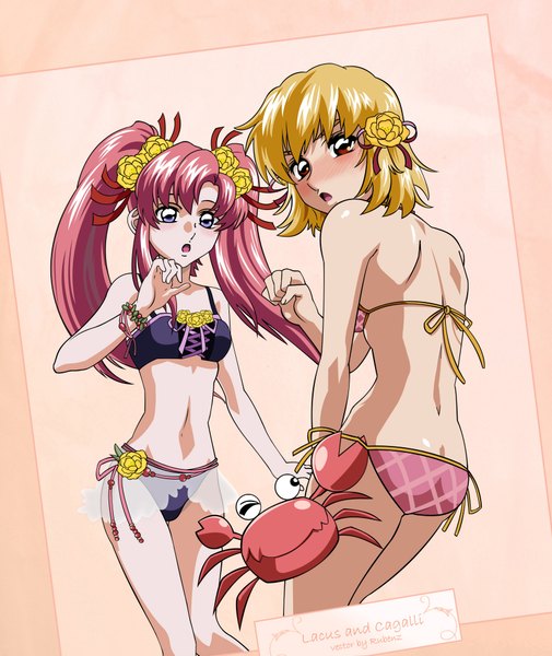 Anime picture 1684x2000 with mobile suit gundam gundam seed sunrise (studio) lacus clyne cagalli yula athha hoshino masumi tall image light erotic multiple girls signed vector girl 2 girls swimsuit animal bikini crab