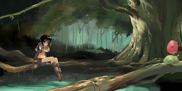 Anime picture 1656x828 with ragnarok online wide image scenic tree (trees) forest tagme