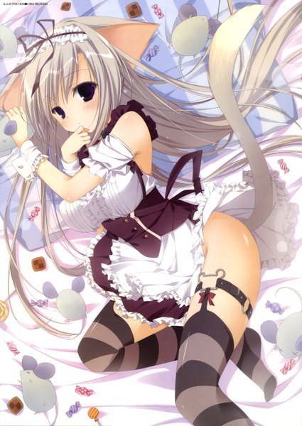 Anime picture 3951x5580 with inugami kira tall image looking at viewer highres light erotic purple eyes bare shoulders animal ears absurdres animal tail grey hair cat ears maid cat girl cat tail girl thighhighs dress animal belt
