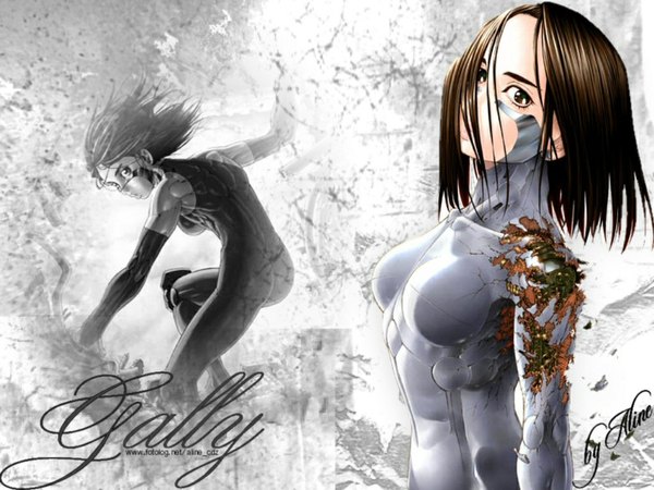 Anime picture 1024x768 with battle angel alita gally android tagme