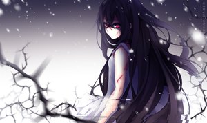 Anime-Bild 1002x595