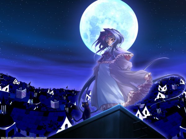 Anime picture 1024x768 with looking at viewer purple eyes yellow eyes blue hair sky very long hair night sky city girl dress bow hair bow building (buildings) moon star (stars) cat full moon blue dress roof smoke stack