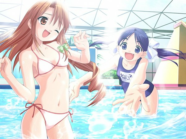 Anime picture 1024x768 with sister sister (game) blue eyes brown hair multiple girls brown eyes blue hair game cg girl 2 girls swimsuit