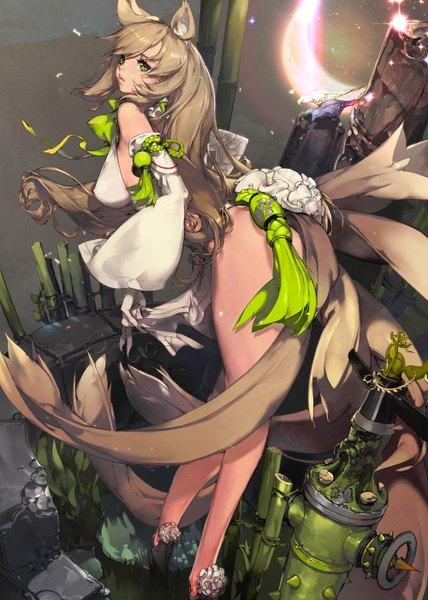 Anime picture 2000x2800 with qurare: magic library kkuem single long hair tall image fringe highres breasts light erotic brown hair large breasts standing twintails green eyes animal ears ass tail traditional clothes animal tail wind