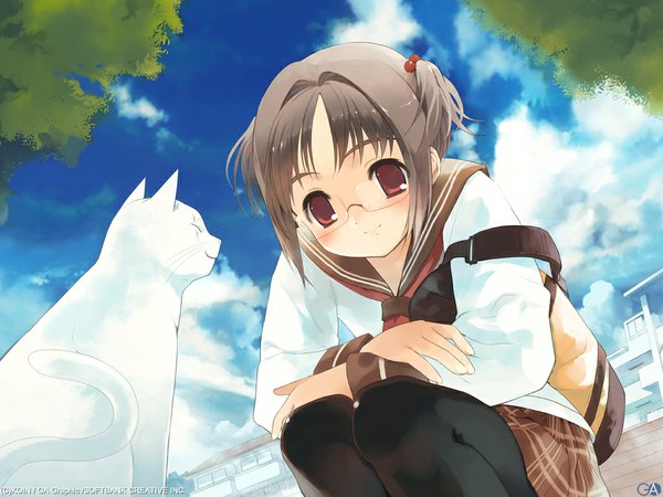 Anime picture 1024x768 with gagraphic koin (foxmark) single looking at viewer fringe short hair smile brown eyes sky cloud (clouds) bent knee (knees) outdoors long sleeves grey hair looking down squat girl uniform hair ornament animal
