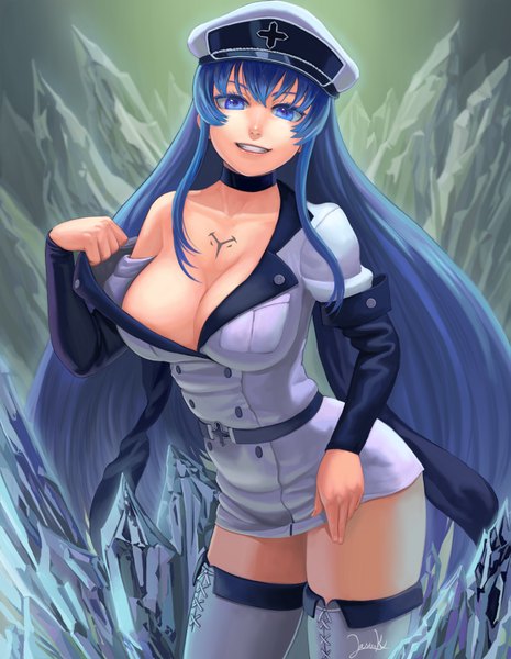 Anime picture 1359x1754 with akame ga kill! white fox esdeath lasterk single long hair tall image looking at viewer breasts blue eyes light erotic smile blue hair cleavage girl uniform peaked cap ice