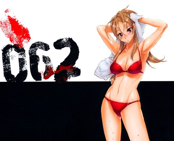 Anime picture 3675x2965 with highschool of the dead madhouse miyamoto rei satou shouji single long hair looking at viewer blush highres breasts light erotic red eyes brown hair absurdres scan girl navel swimsuit bikini towel