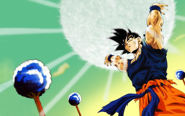 Anime picture 1680x1050 with dragon ball son goku wide image tagme