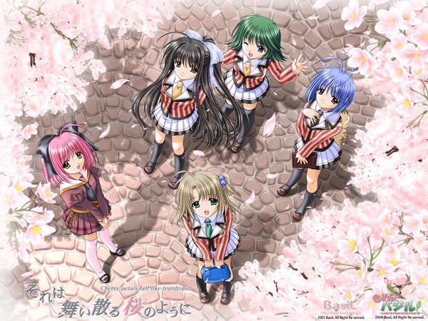 Anime picture 1600x1200 with sore wa maichiru sakura no you ni hoshizaki nozomi satomi kodama yukimura komachi mori aoba yaegashi tsubasa nishimata aoi