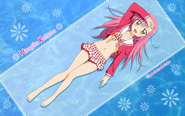 Anime picture 1920x1200 with hayate no gotoku! katsura hinagiku highres wide image vector swimsuit serafuku