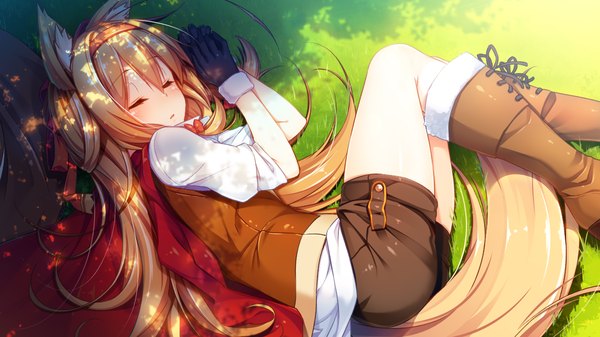 Anime picture 1280x720 with tou no shita no exercitus riko tera kokusan moyashi single long hair blush fringe open mouth blonde hair wide image animal ears bent knee (knees) outdoors tail lying eyes closed animal tail from above sunlight shadow