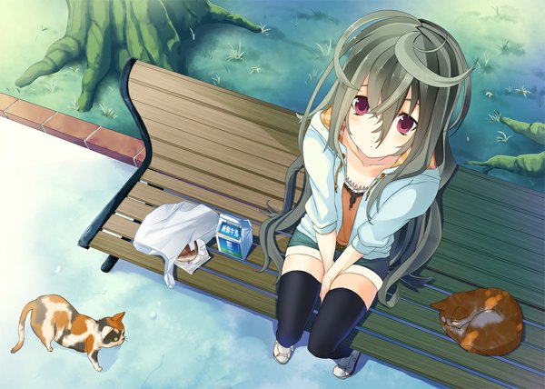 Anime picture 1166x833 with original minoinomi long hair red hair green hair looking up girl thighhighs black thighhighs animal shorts cat bench milk