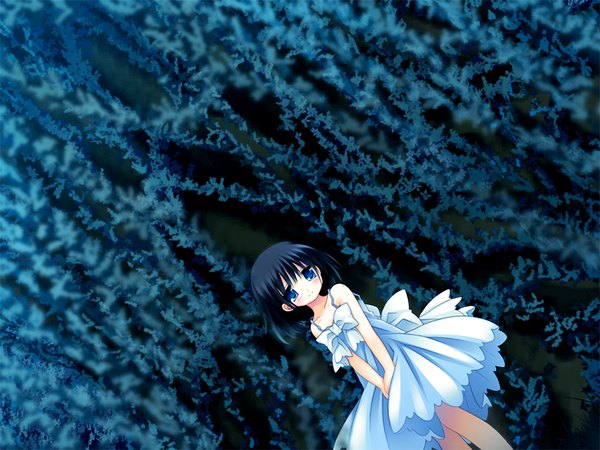 Anime picture 1024x768 with natsu yuki - summer snow sawatari natsuki short hair blue eyes black hair game cg loli girl sundress