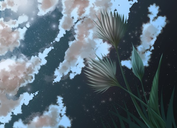 Anime picture 4566x3307 with orcaj highres absurdres sky cloud (clouds) night night sky no people landscape plant (plants) star (stars)