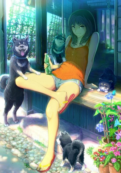 Anime picture 733x1046 with original haitaka single long hair tall image looking at viewer blue eyes black hair sitting bare shoulders light smile shiba inu girl flower (flowers) animal shoes shorts dog slippers