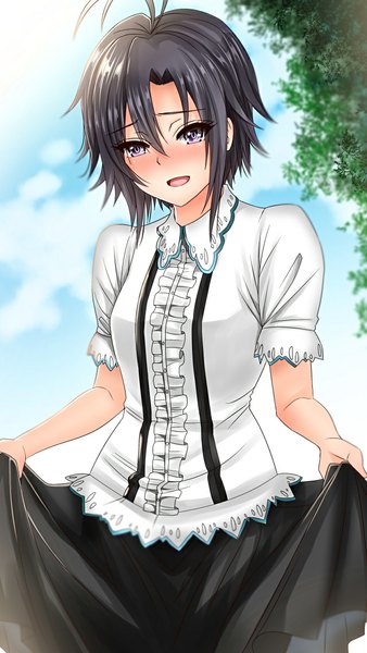 Anime picture 640x1136 with idolmaster kikuchi makoto inu (marukome) single tall image blush fringe short hair black hair smile purple eyes sky cloud (clouds) girl dress skirt