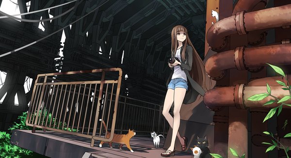 Anime picture 1321x720 with original kriss sison single long hair brown hair wide image brown eyes girl plant (plants) animal shorts cat camera water pipe
