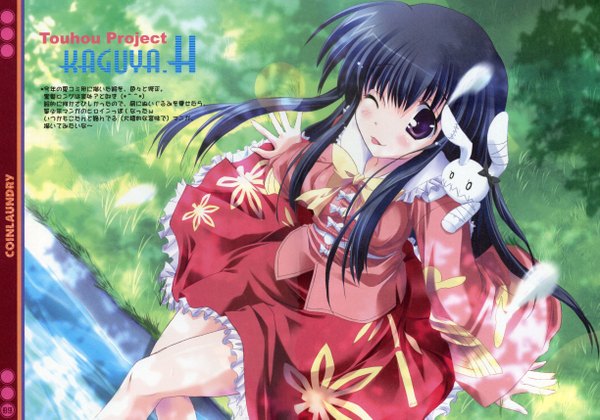 Anime picture 4894x3429 with touhou houraisan kaguya inaba maruchan long hair blush highres black hair purple eyes happy birthday girl dress bunny
