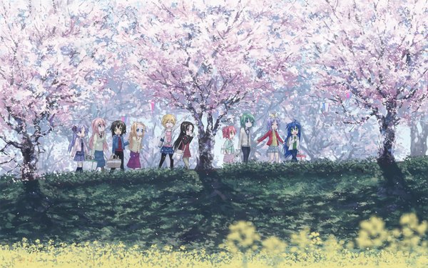 Anime picture 1680x1050 with lucky star kyoto animation izumi konata hiiragi kagami takara miyuki kusakabe misao iwasaki minami tamura hiyori patricia martin minegishi ayano highres wide image cherry blossoms landscape girl plant (plants) tree (trees)