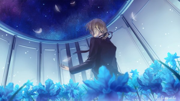 Anime picture 1200x675 with axis powers hetalia studio deen france (hetalia) robinexile single blonde hair wide image from behind night night sky boy flower (flowers) petals necktie star (stars)