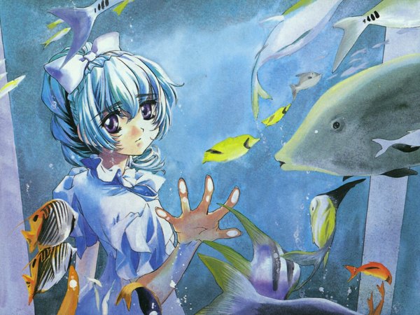 Anime picture 1024x768 with full metal panic! gonzo teletha testarossa blue hair silver hair ponytail traditional media watercolor (medium) dress bow water white dress fish (fishes) aquarium