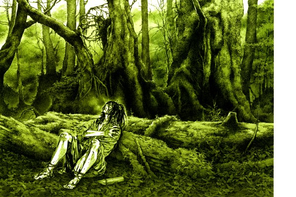 Anime picture 2397x1600 with vagabond inoue takehiko highres sitting monochrome landscape boy tree (trees) forest