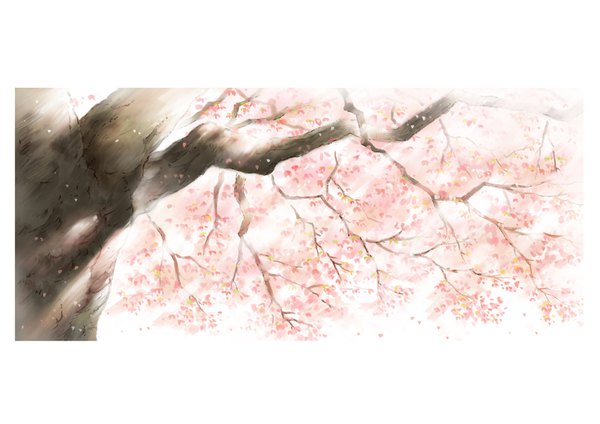 Anime picture 1637x1158 with original hariken sunlight cherry blossoms no people framed sunbeam flower (flowers) plant (plants) petals tree (trees) branch