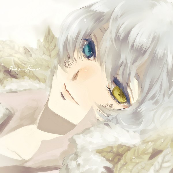 Anime picture 2000x2000 with sound horizon hiver laurant kyanarinu single looking at viewer highres smile silver hair lips tattoo heterochromia close-up face pale skin girl leaf (leaves)