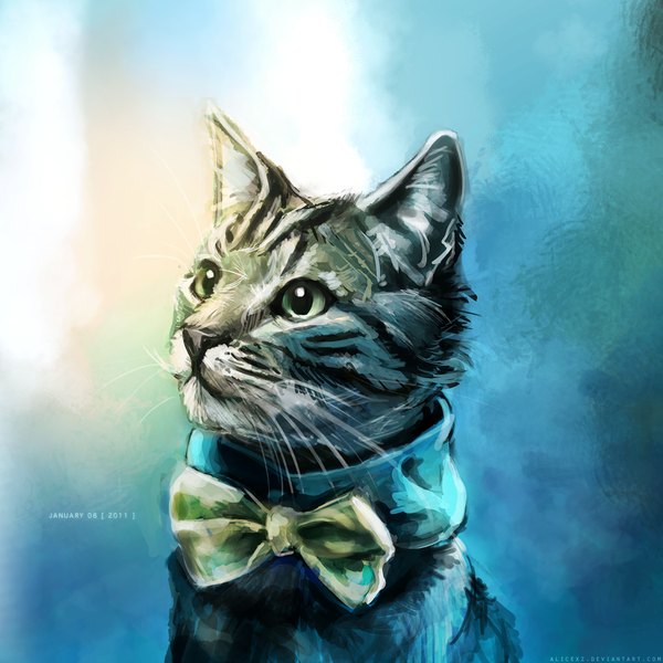 Anime picture 1000x1000 with original alicexz single simple background green eyes looking away blue background bow animal bowtie cat collar