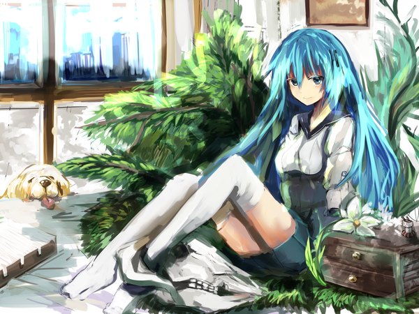 Anime picture 2000x1500 with original haik single long hair looking at viewer highres blue eyes sitting blue hair girl thighhighs dress flower (flowers) plant (plants) animal white thighhighs dog